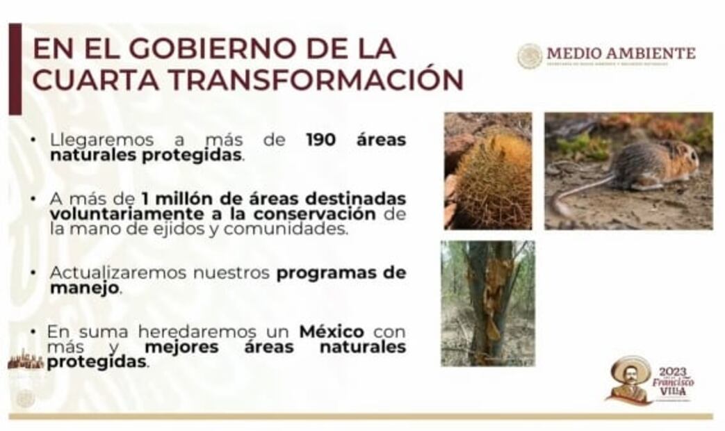 La mañanera de AMLO, 16 de febrero, minuto a minuto