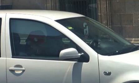 Pese a recomendación de no hacer ejercicio al aire libre, AMLO acude a jugar beisbol