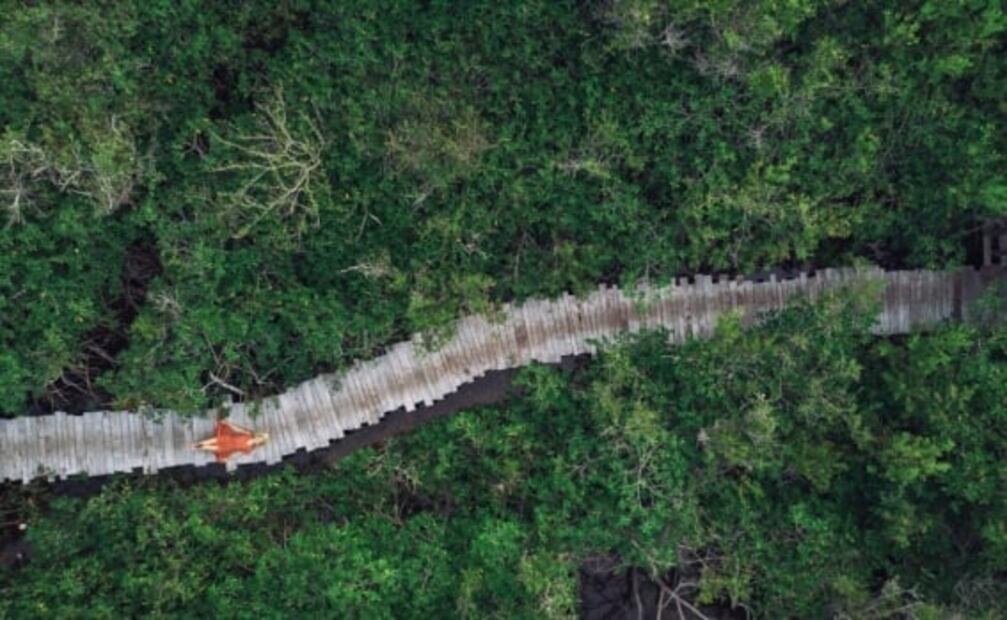 10 lugares en México para disfrutar la naturaleza y aislarte del mundo