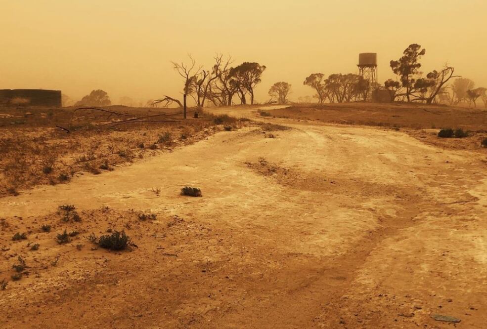 El conglomerado de moda de lujo Kering se solidariza con la comunidad australiana        Foto: Instagram