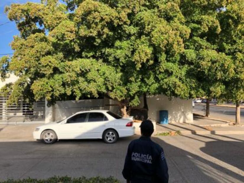 Reanudan vigilancia de refugio de “El Chapo” en Sinaloa