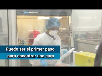 Suman 13 casos de coronavirus en Ecuador, el país con más contagios de América Latina