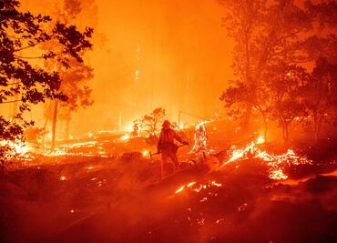 Pirotecnia en fiesta “de revelación de género” causa incendio en California