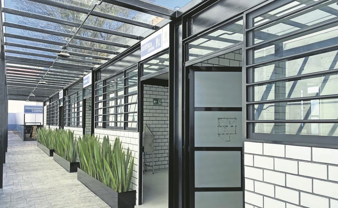 El albergue se encuentra ubicado en el Deportivo Morelos, en Tepito. Foto: Berenice Fregoso