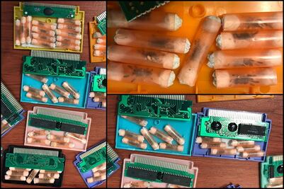 Aseguran 73 tarántulas en cartuchos de videojuegos