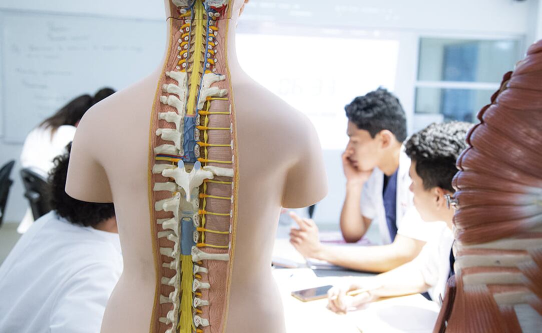 Foto: Cortesía UVM.