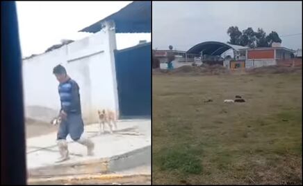 Otro caso de maltrato animal en Puebla; hombre lanza con una pala a unos cachorros