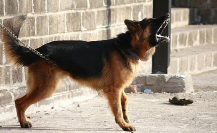 Hombre asesina a su vecino por los ladridos de su perro en Colombia 