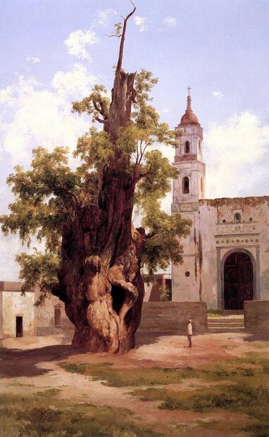 “Ahuehuete de la noche triste” fue la pintura del famoso árbol en el barrio de Popotla, que el paisajista hizo en 1885. Imagen: Emiliano Bautista Neumann.