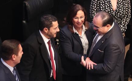 Aprueban en el Senado licencia a Rocío Nahle
