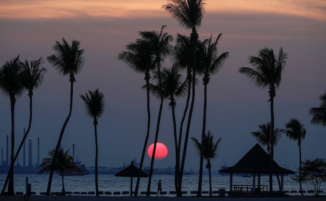 Fotografía que muestra una puesta de sol tras varias palmeras, en la isla Sentosa (Singapur). (Foto: EFE)
