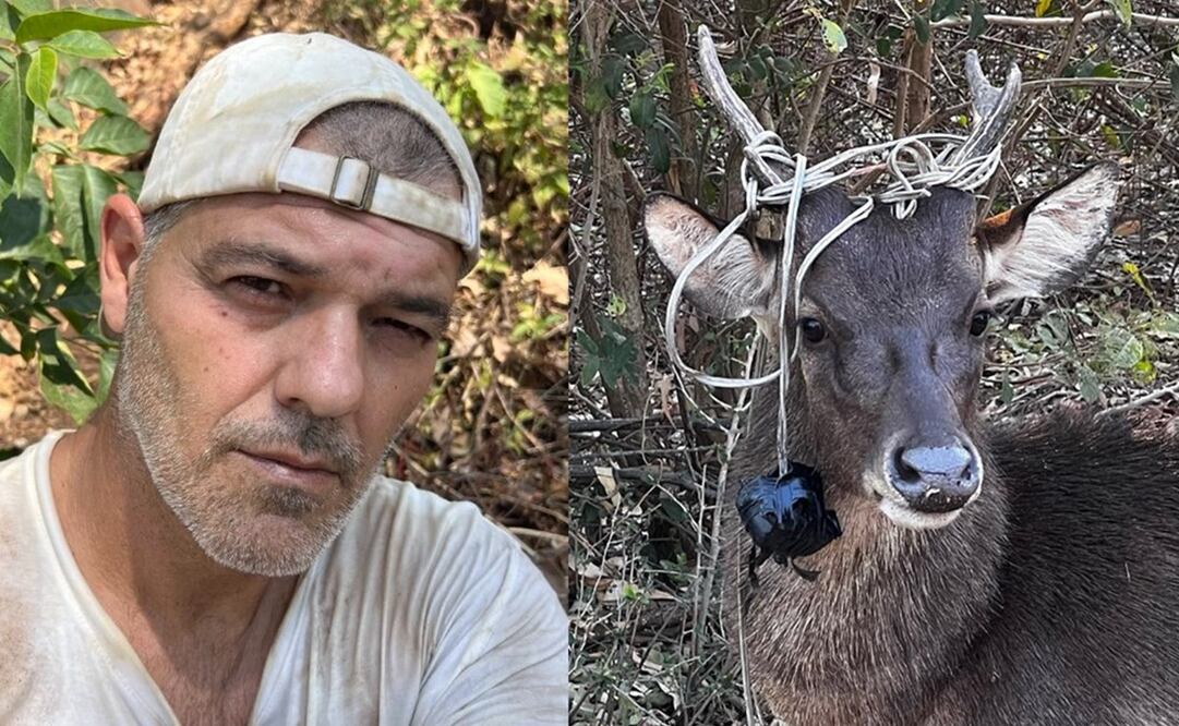 Antes de ser famoso en redes sociales, Frank Cuesta fue un gran tenista. Foto: Instagram