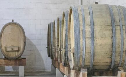 Bodegas Cetto: El vino mexicano que conquista el mundo con más de 1,000 medallas