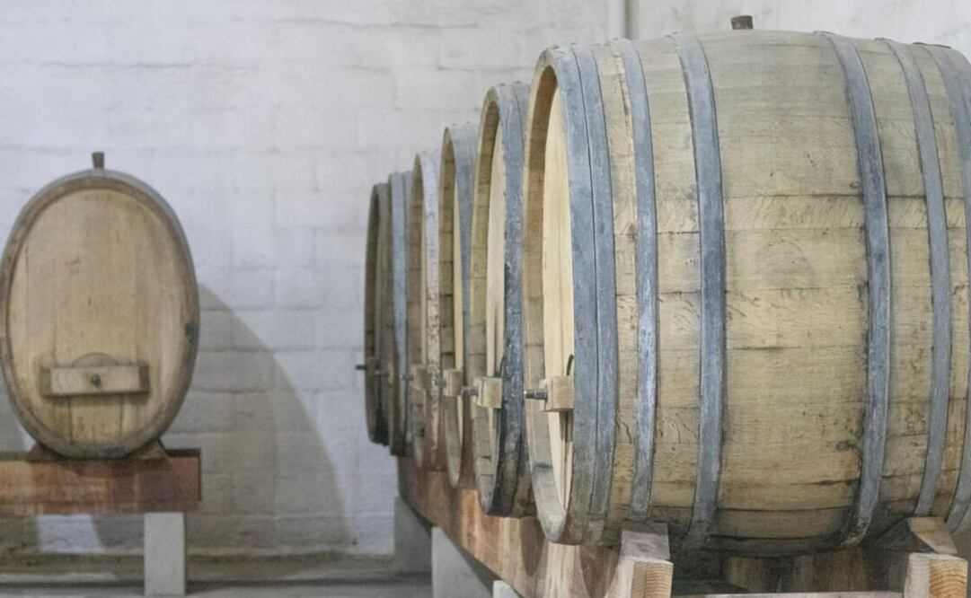 Foto: cortesía Bodegas Cetto