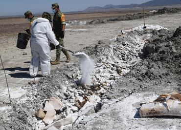 Avanza limpieza de peces muertos en la laguna de Bustillos en Chihuahua