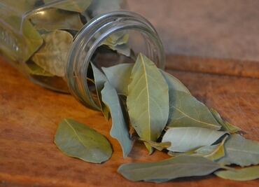 ¿Usas el laurel para cocinar? Estos son otros usos que puedes darle en el hogar