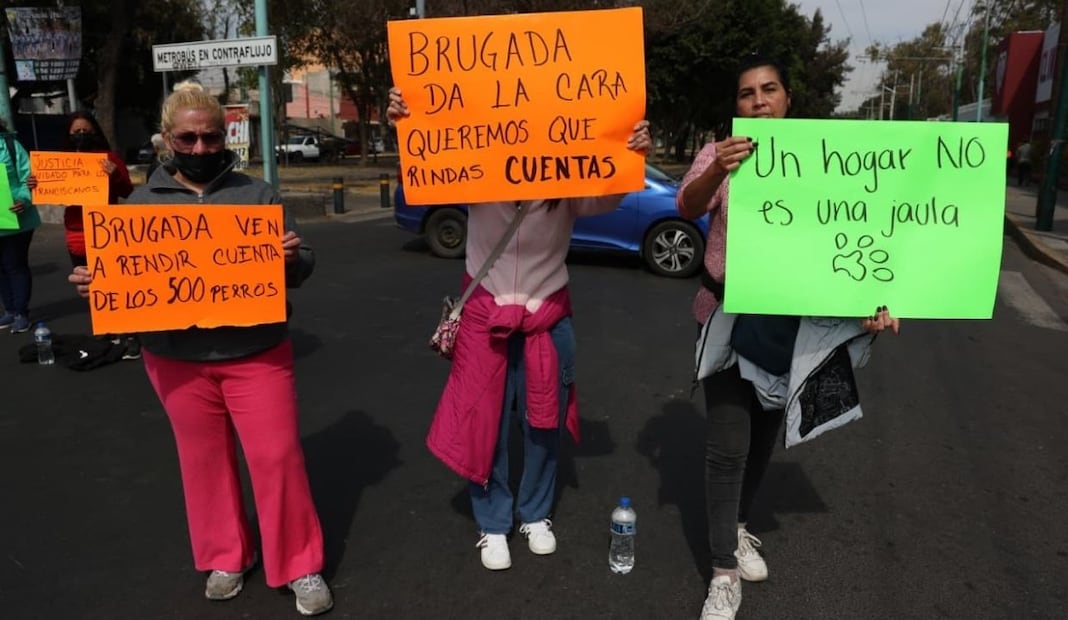 Bloqueo por Refugio Franciscano; protestan en Metrobús Línea 6 por traslado de perros. Foto: Luis Camacho