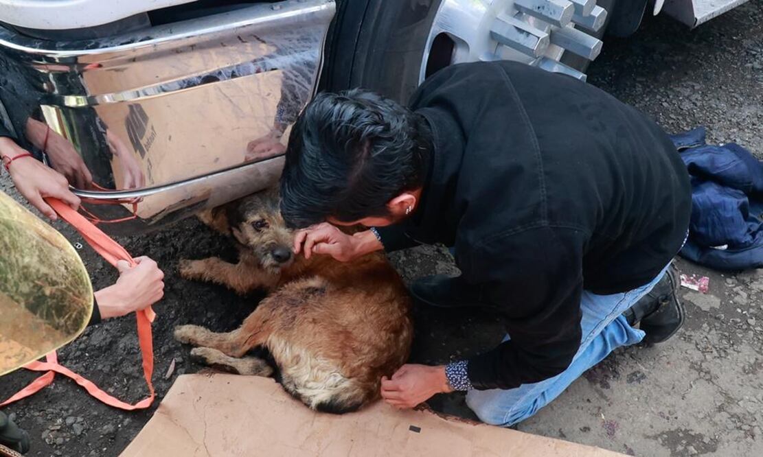 FOTO: Claudia González/ EL UNIVERSAL/