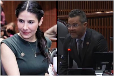 ¿Nace una rebelión en el Partido Verde?