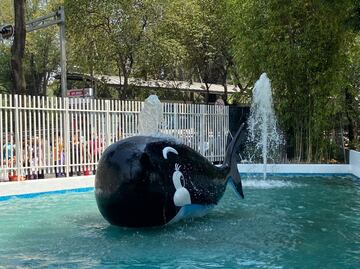 ¡Prepara tu traje de baño! Inauguran parque acuático La Ballenita, en la Cuauhtémoc