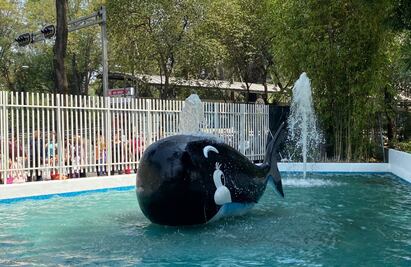 ¡Prepara tu traje de baño! Inauguran parque acuático La Ballenita, en la Cuauhtémoc
