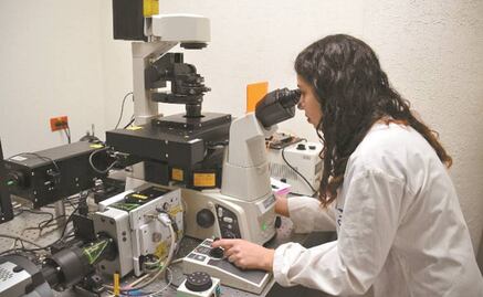 Colegios médicos de México se unen por acusaciones contra miembros del Conacyt