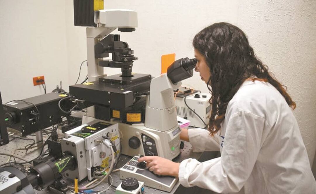 En los últimos años, el presupuesto que recibía el Conacyt ha sido disminuido más de la mitad, explicaron los médicos. Foto: Archivo/EL UNIVERSAL.