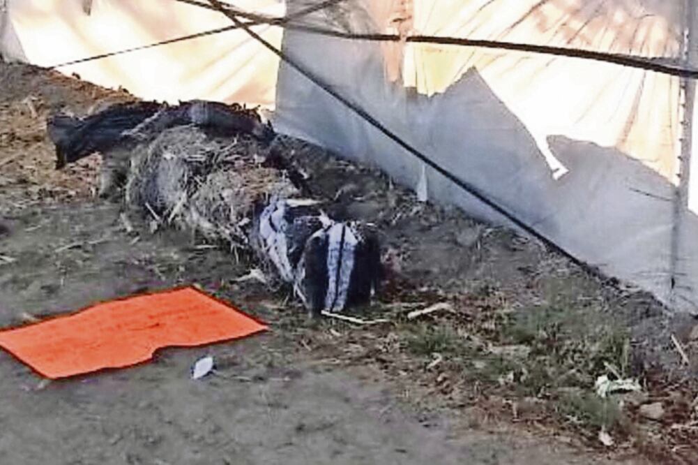 Recurre ncia. La mayoría de los homicidios se registraron en los municipios de Irapuato, Cortázar, Celaya, Salvatierra, León, Silao, Yuriria, Romita y Apaseo el Alto (ESPECIAL)