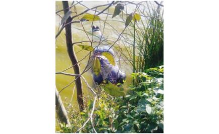 Aparece cadáver encintado en canal de Tláhuac