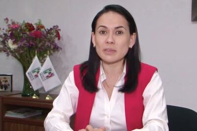 PRI y PAN arremeten contra Delfina