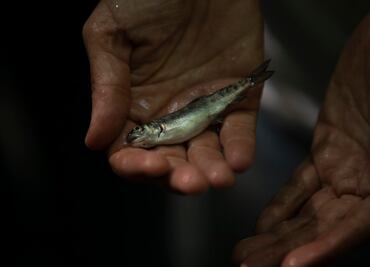 Nemi Natura: cría de trucha sostenible