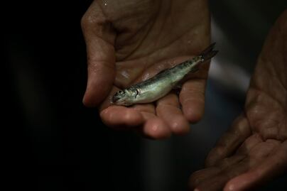 Nemi Natura: cría de trucha sostenible