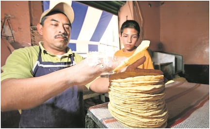 Tortilla, pasta, aceite y pan de caja acumulan alzas de 7 a 13%; fruta sube hasta 45%: GCMA