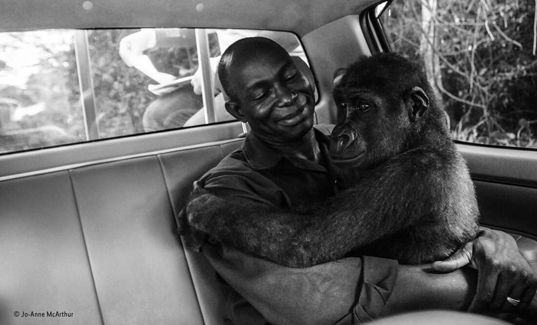 FOTO: Jo-Anne McArthur