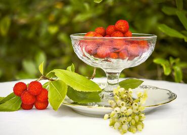 El madroño, la fruta que contiene alcohol y podría embriagarte