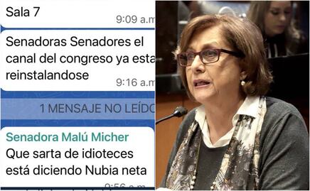 “Qué sarta de idioteces está diciendo”: exhiben chat y acusan a senadora de Morena de violencia política de género