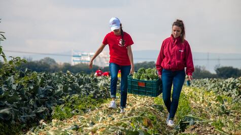 Kellogg´s propone iniciativas para mejorar la nutrición de los mexicanos