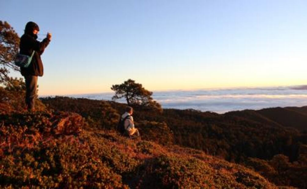 Cultivar hongos y nadar desnudo en cascadas: 3 viajes al México profundo
