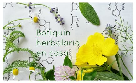 Arma tu botiquín herbolario en casa
