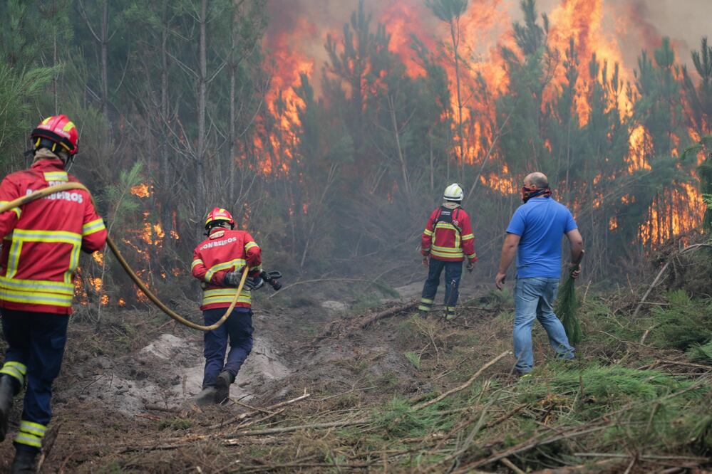 Las llamas también causaron 56 heridos, incluidos 16 graves, entre la población y los bomberos (Foto: EFE)