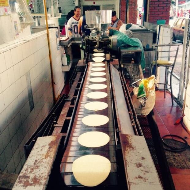 Cuánto ha incrementado el precio de la tortilla en los últimos 5 años