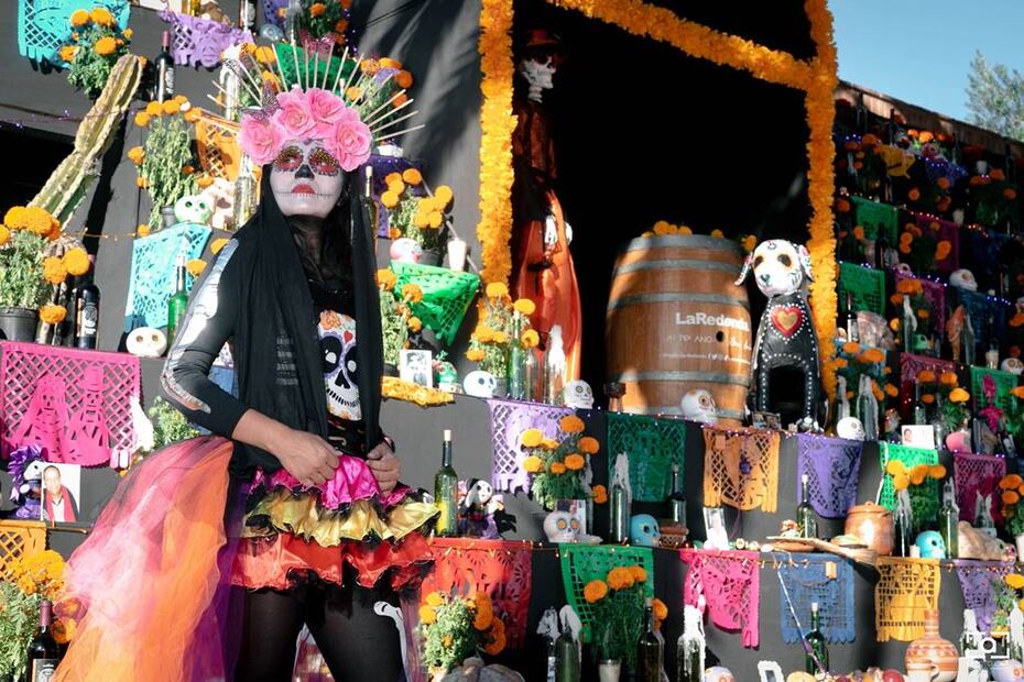 Foto: Viñedos La Redonda