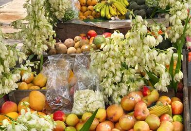 Conoce las flores de izote y sus beneficios