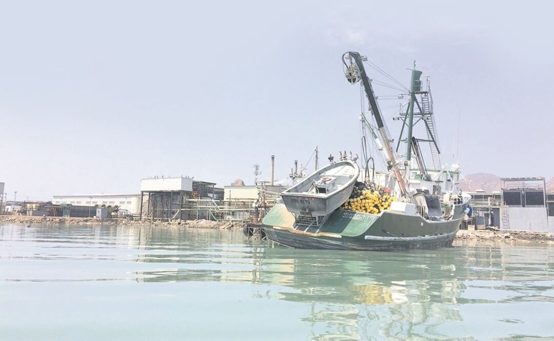 Instalaciones pesqueras en Guaymas, Sonora, puerto con la mayor producción de sardinas del país. DATAMARES