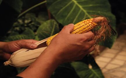 Tarumba lanza programa de sustentabilidad en colaboración con asociaciones nacionales