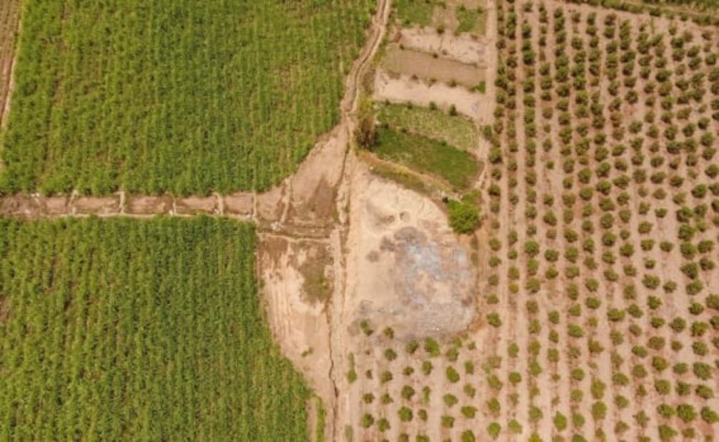 Descubren mural de hace 3 mil años en Perú; presenta daños hechos por agricultores