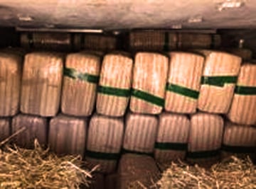 Hallan marihuana oculta en pacas de pastura en Matamoros