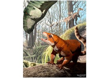 Un cráneo fosilizado revela cuándo apareció Pangea