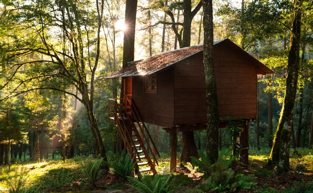 En este bosque de Hidalgo, Agua Morada es un refugio para recargarse de energía. Foto: Agua Morada Hotel y Restaurante