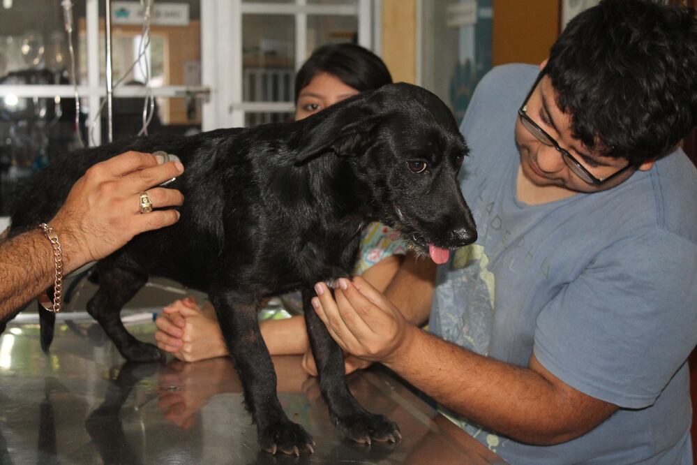 Foto: Cuahutémoc Moreno.